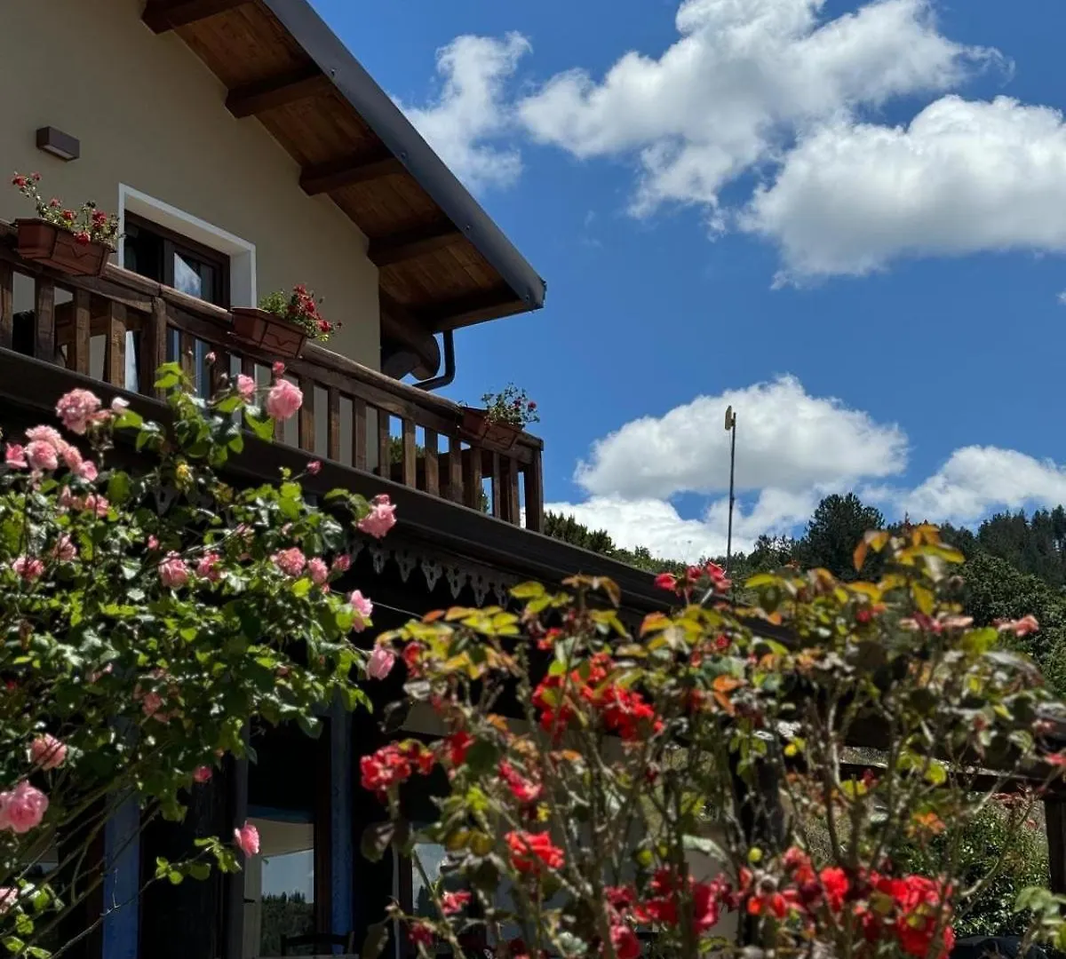 Bed and Breakfast Is Cubas Desulo